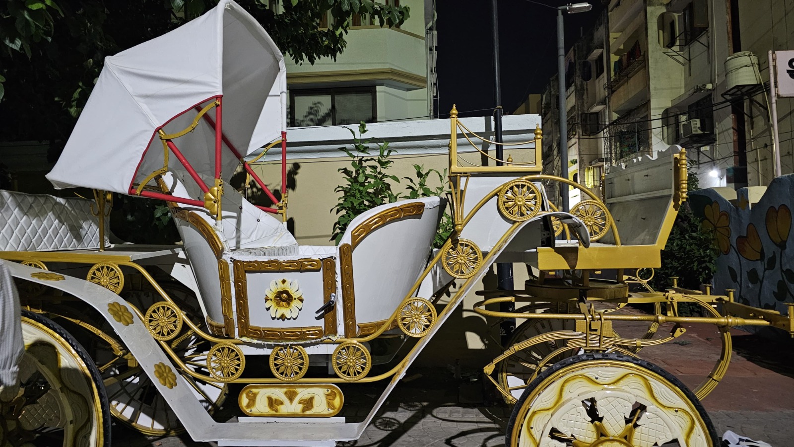 Decorated Ghodi Baggi for wedding groom entry